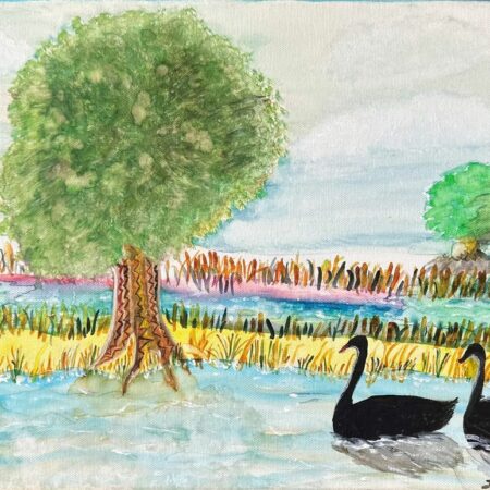 Black Swan on lake - Laurel Robinson